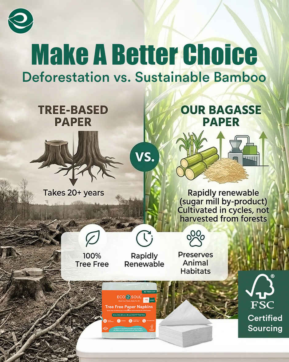 Eco Soul 1 Ply | 100Count | Disposable Paper Napkin