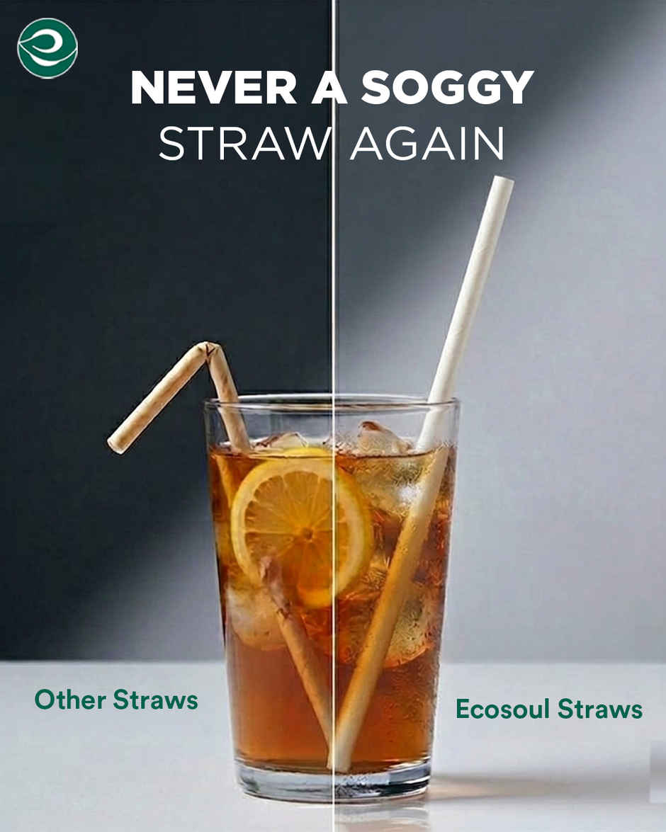 Eco Soul 8mm White | 50 Count | Paper Straw