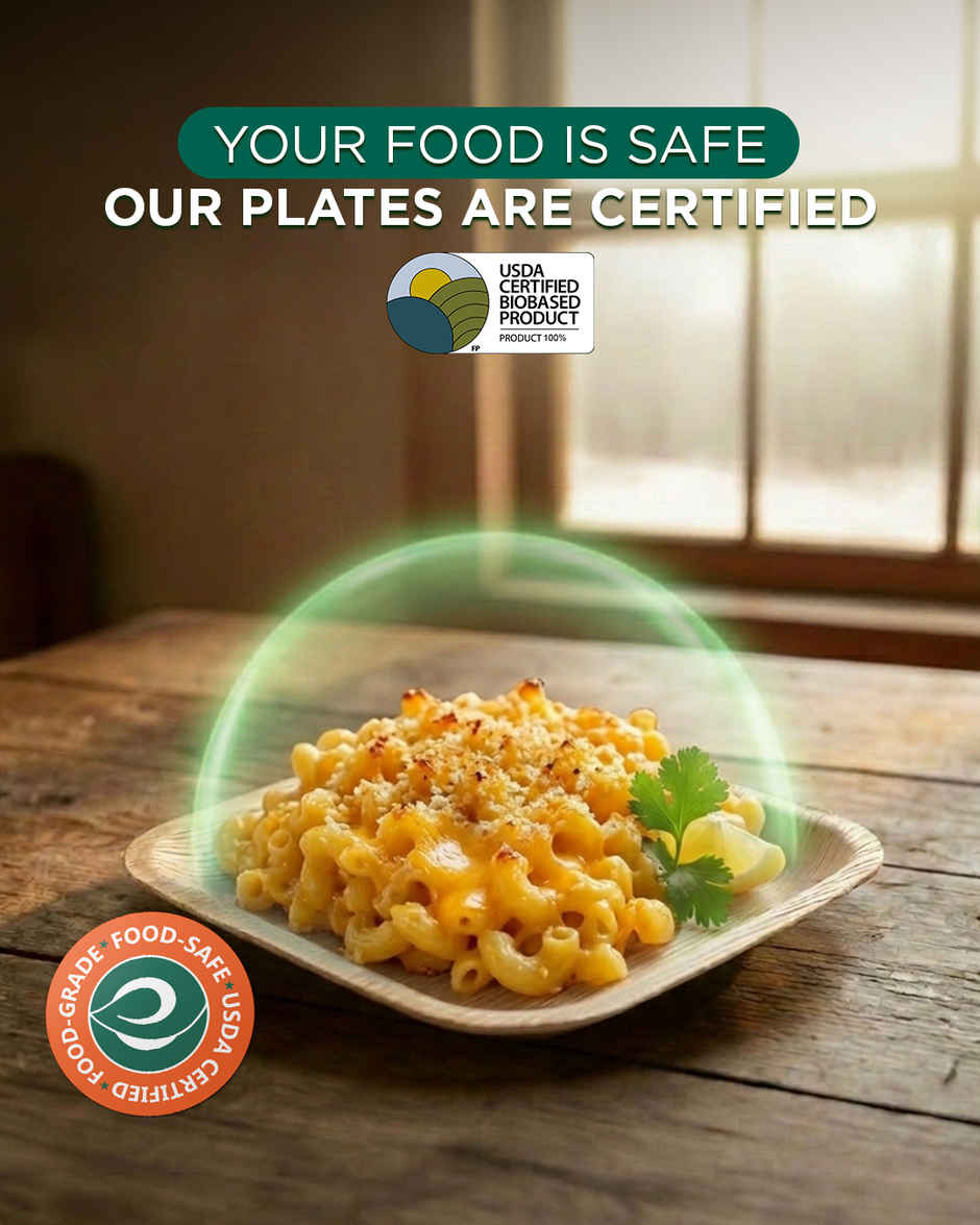 ECO SOUL | Palm Leaf Disposable Plates | 10 Inch | Square | 10 Count