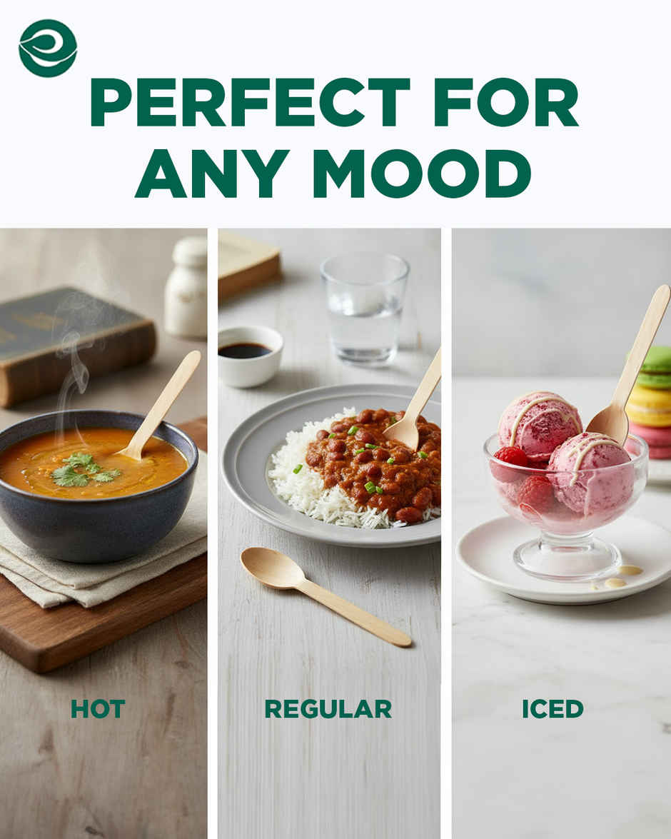 Eco Soul 160 mm | 50 Count | Disposable Spoon