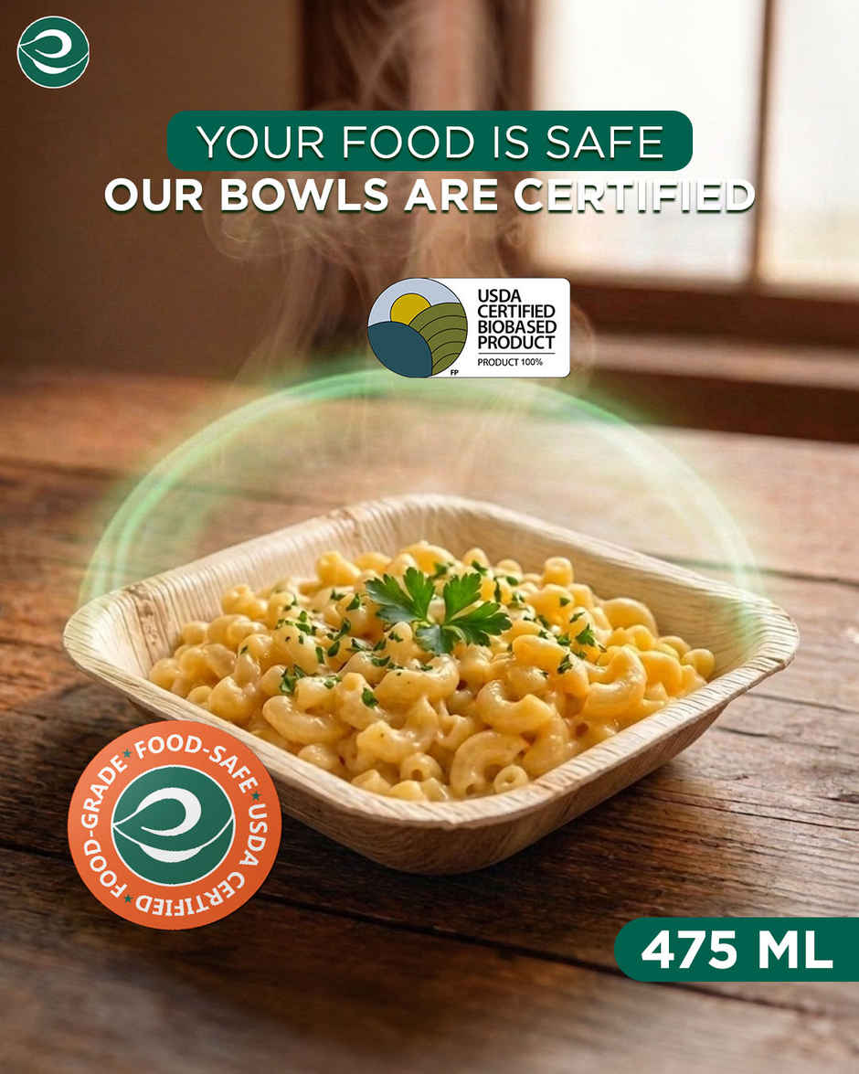 ECO SOUL | Palm Leaf Disposable Bowl | 500 ml | Square | 10 Count