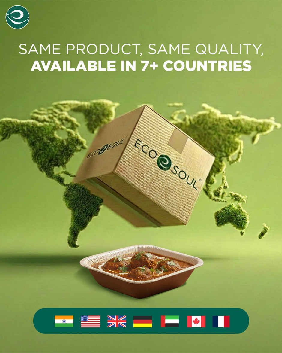 ECO SOUL | Palm Leaf Disposable Bowl | 500 ml | Square | 10 Count