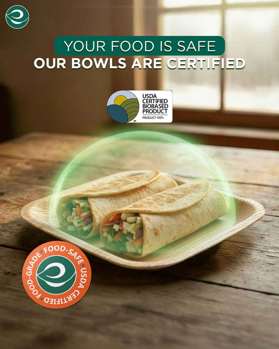 ECO SOUL | Palm Leaf Disposable Plates | 8 Inch | Square | 10 Count
