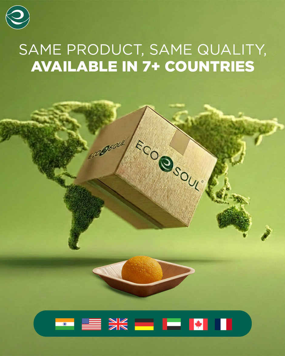 ECO SOUL | Palm Leaf Disposable Bowl | 150 ml | Square | 10 Count