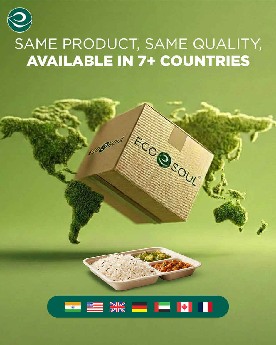 ECO SOUL | Bagasse Disposable Meal Tray/Plates | Square | 3CP | 10 Count