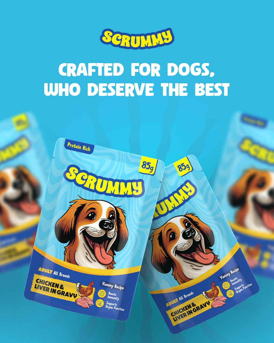 Scrummy Chicken & Liver Dog Wet FOOD Combo