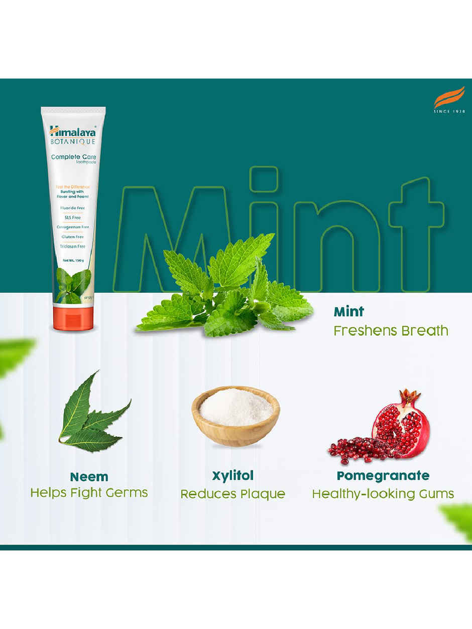 Himalaya Botanique Complete Care Toothpa