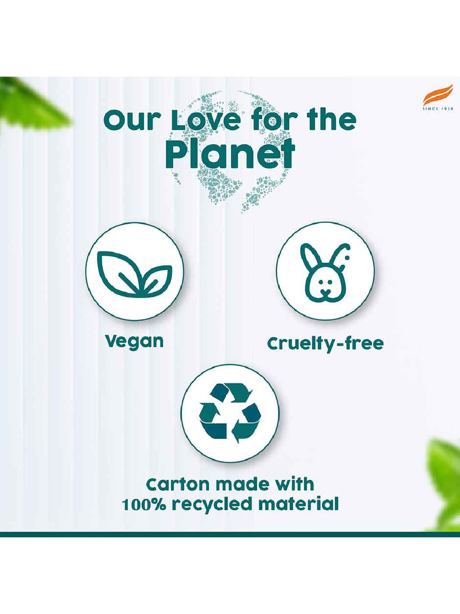 Himalaya Botanique Complete Care Toothpa