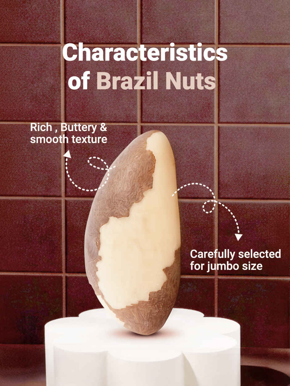 Nutraj Bactopure Brazil Nuts | Monocarton