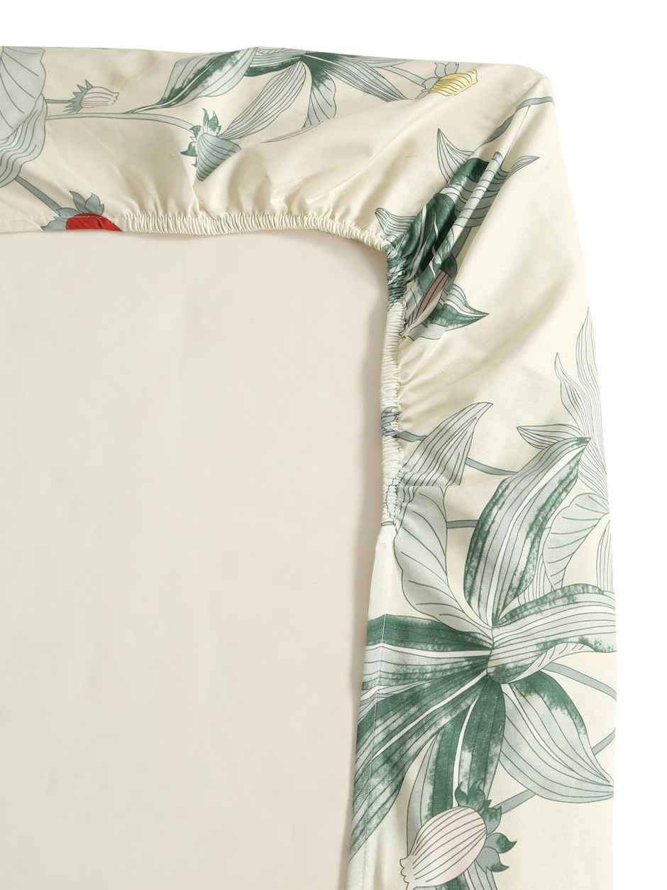 Status Imperial Corner Fitted Bedsheet | Illustrated Berry & Leaf | 198 x 182 cm