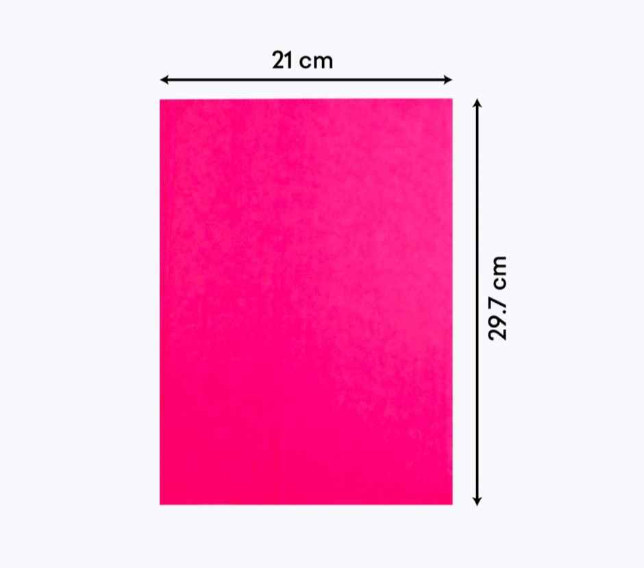 Paperbees A4 Coloured Sheets | 10 Sheets Eeach Color Copy | Printing Art and Craft Double Sided