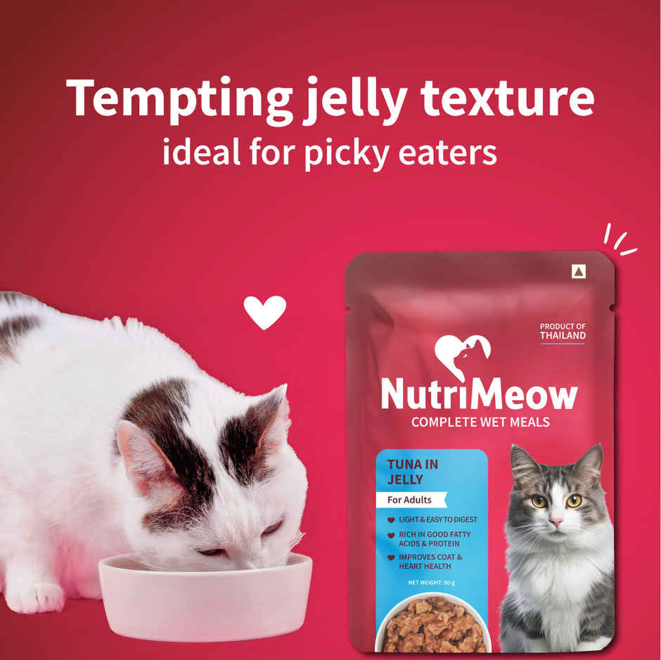 NutriMeow Tuna In Jelly Adult Cat Wet Food