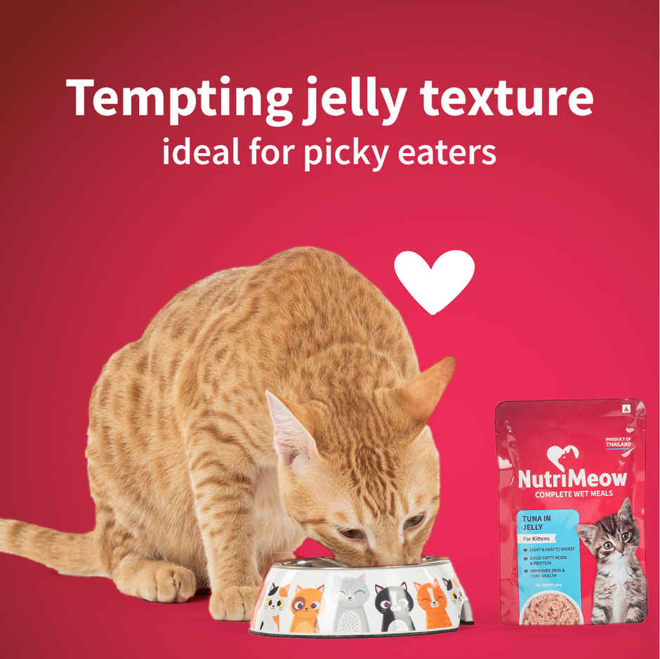 NutriMeow Tuna In Jelly Kitten Wet Food