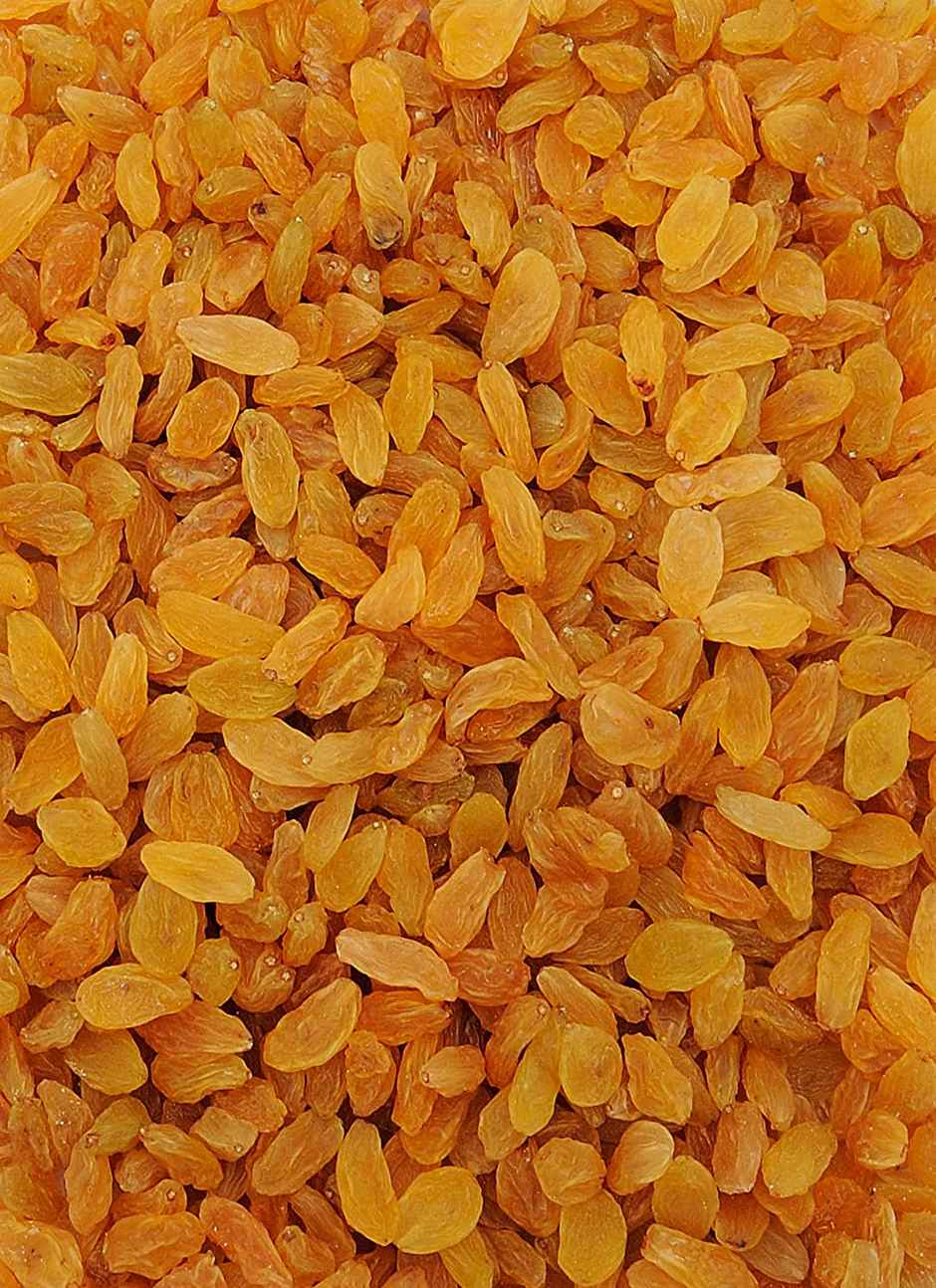 Popular Essentials Dry Grapes/Raisins