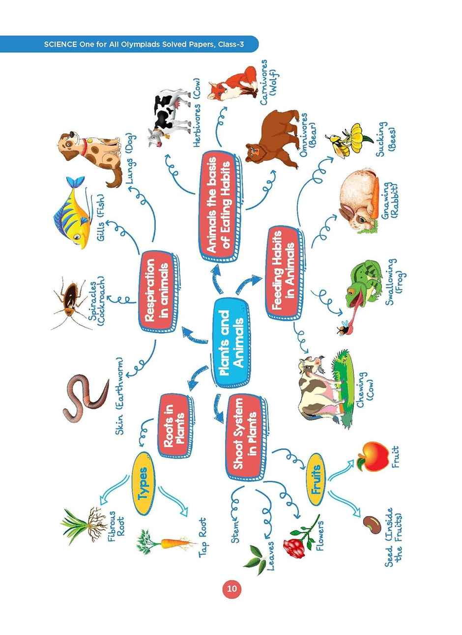 Oswaal One For All Olympiads Previous Year Solved Papers Class 3 Science For 2025 Exam