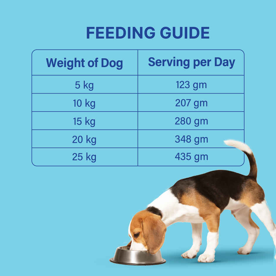 Scrummy Chicken & Egg Dog Dry FOOD