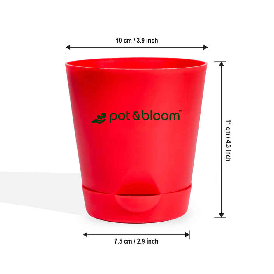 Pot And Bloom 4 Inch Self Watering Pot - Red