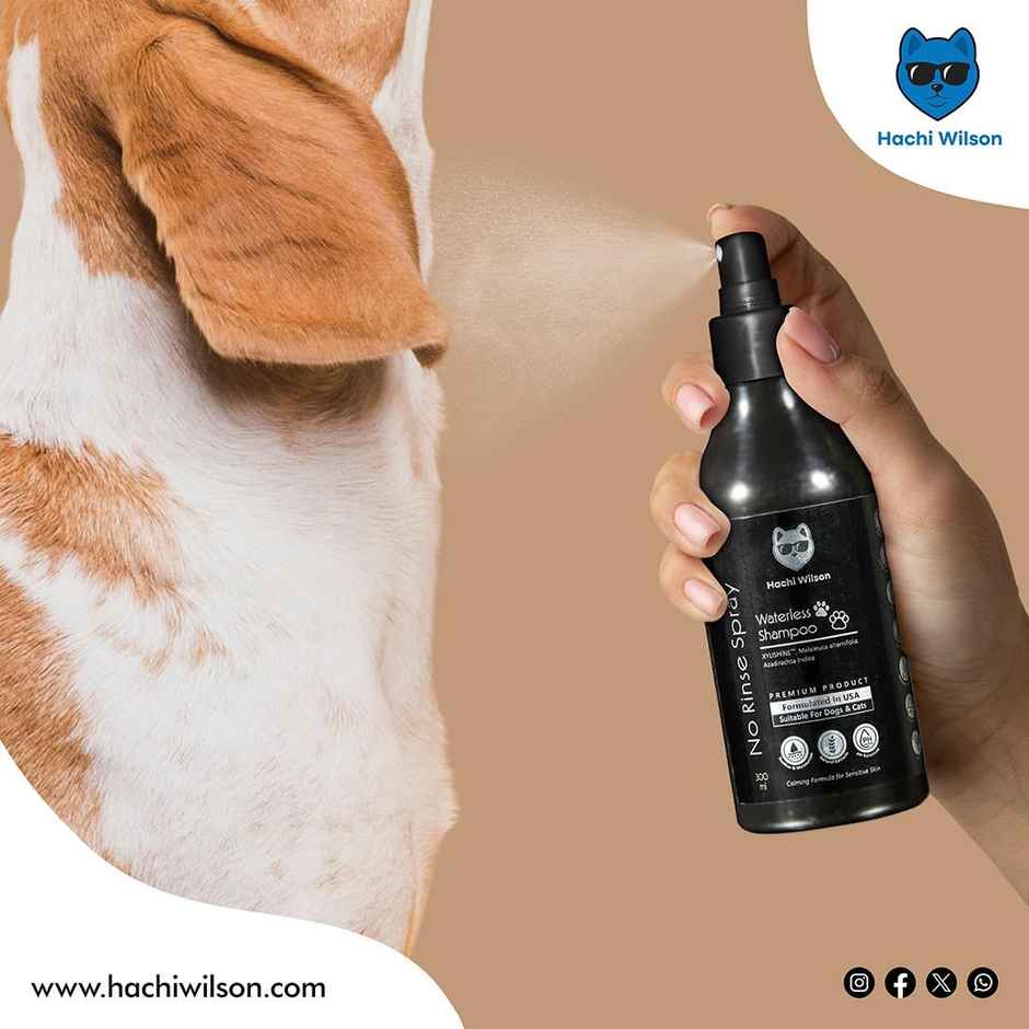 Hachi Wilson Premium Waterless Dog Shampoo And Conditioner Spray