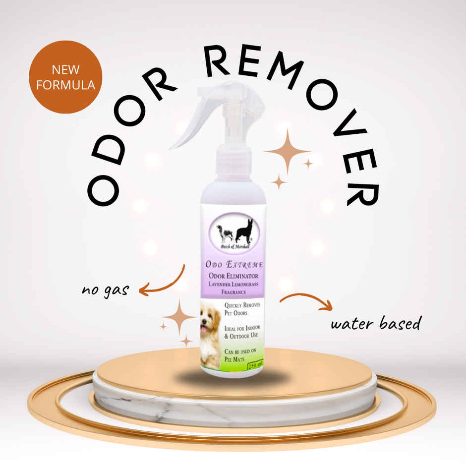 Patch & Marshall Odor Remover | Lavender & Lemongrass