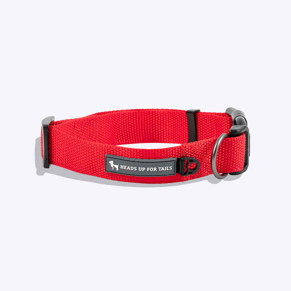 HUFT Basics Dog Collar - Crimson Red - L