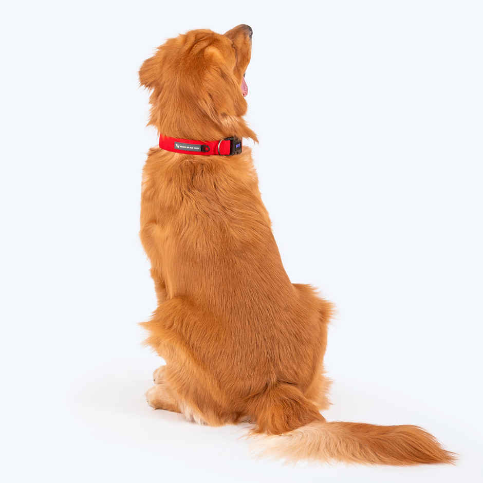 HUFT Basics Dog Collar - Crimson Red - L