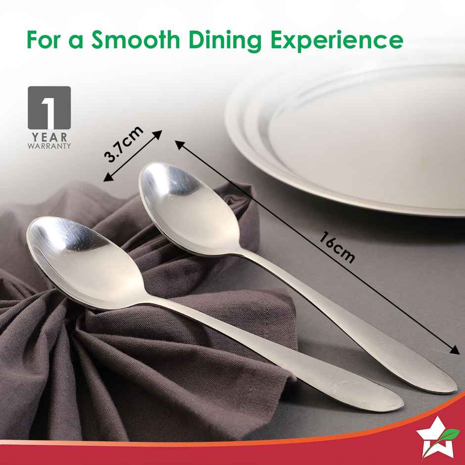 Wonderchef Venice Stainless Steel Regular Spoon | Set Of 6