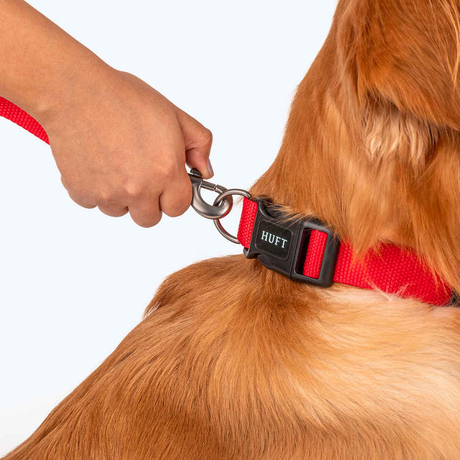 HUFT Basics Dog Collar - Crimson Red - L