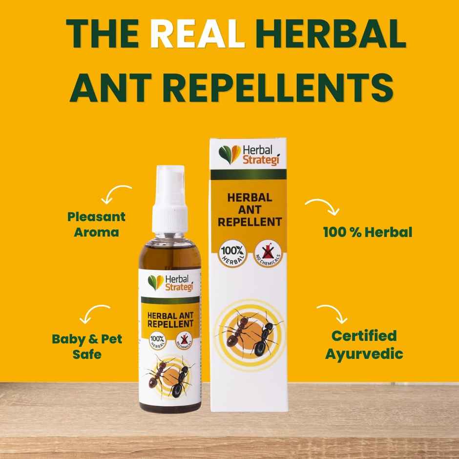 Herbal Strategi Ant Repellent