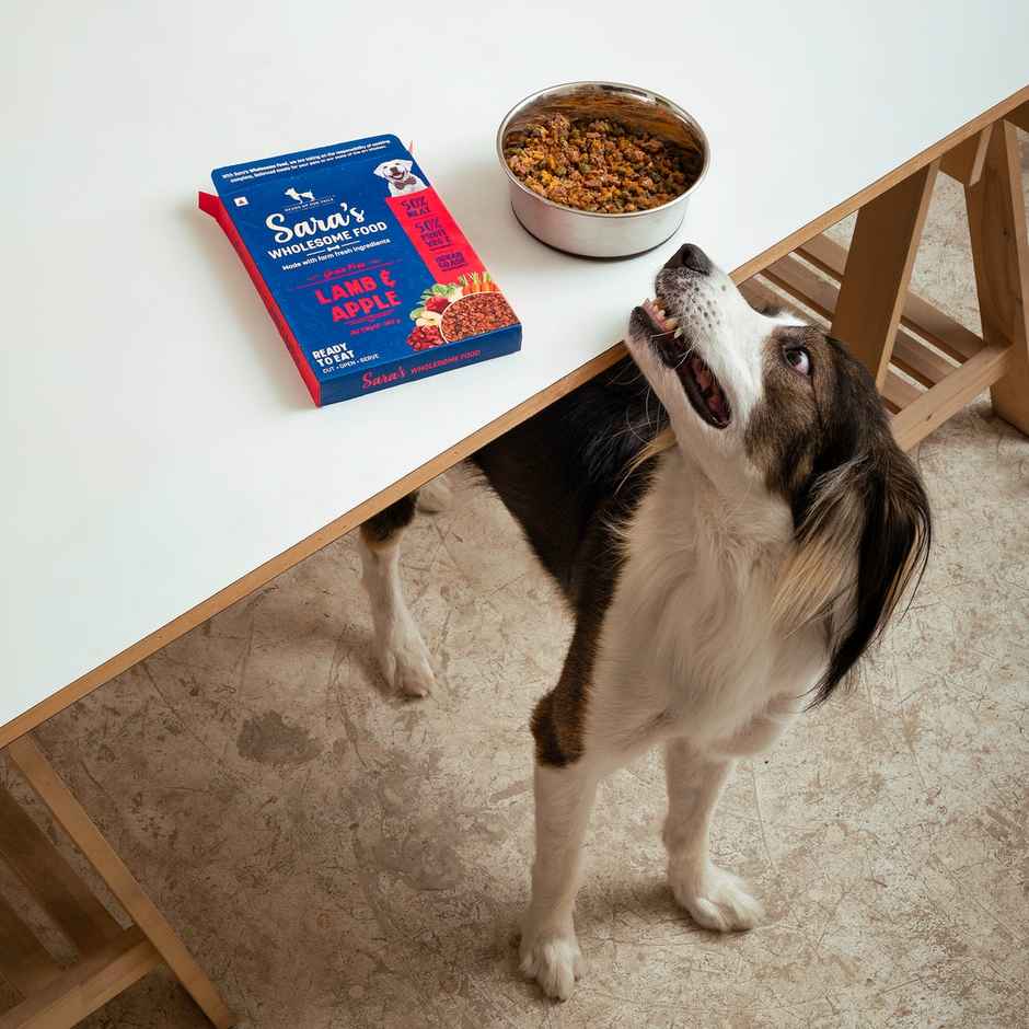HUFT Sara's Wholesome Grain-Free Lamb & Apple Dog Food Packet