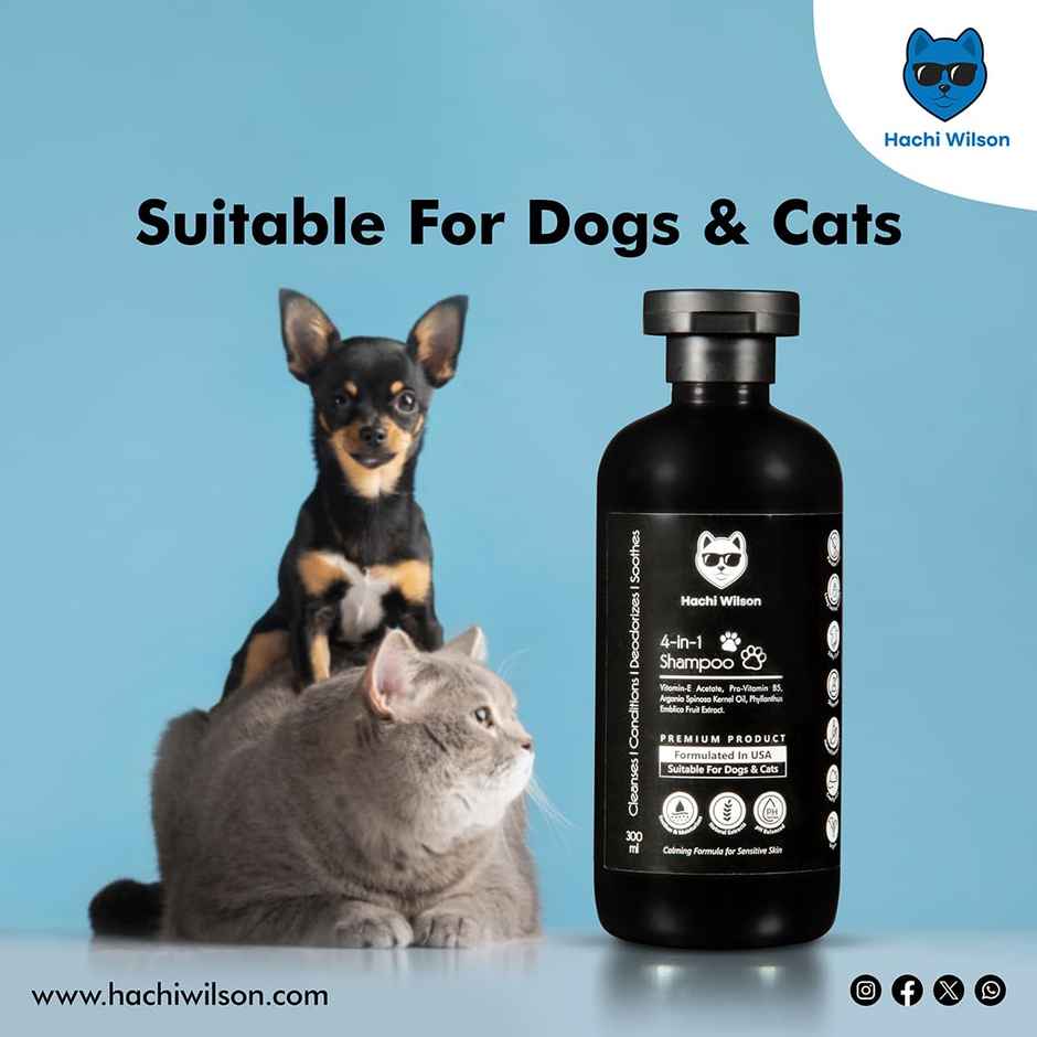 Hachi Wilson Premium 4In1 Dog Shampoo And Conditioner