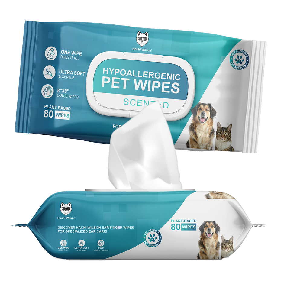 Hachi Wilson Premium Plant Based Pet Wipes (Dog/Cat) , Extra 25% Bigger Size | 80 Pulls Per Pack