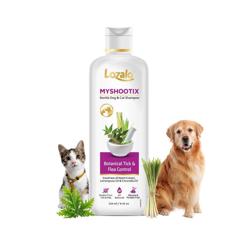 Lozalo My Shootix Anti-Tick Pet Shampoo | Neem | Citronella | Tulsi | Paraben-Free