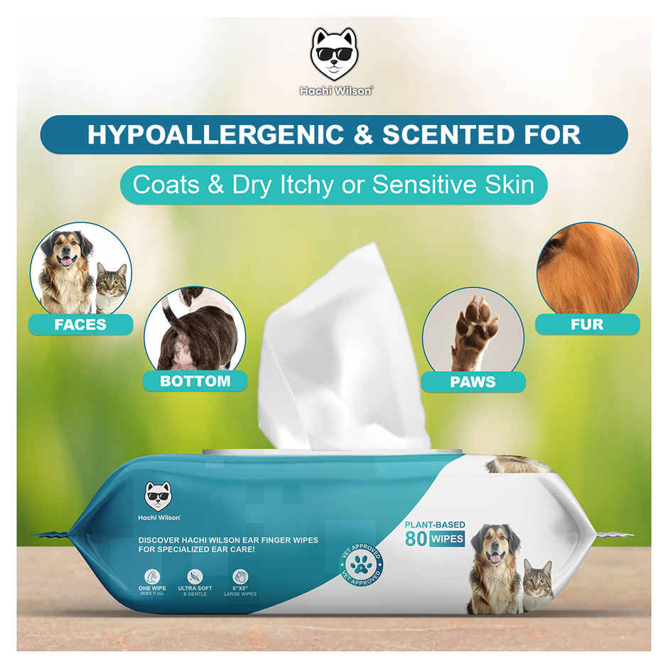 Hachi Wilson Premium Plant Based Pet Wipes (Dog/Cat) , Extra 25% Bigger Size | 80 Pulls Per Pack