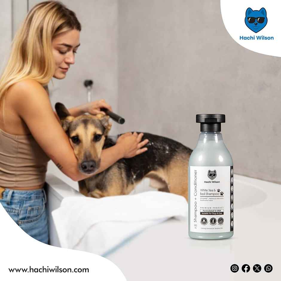 Hachi Wilson Premium White Tea & Basil Dog Shampoo And Conditioner