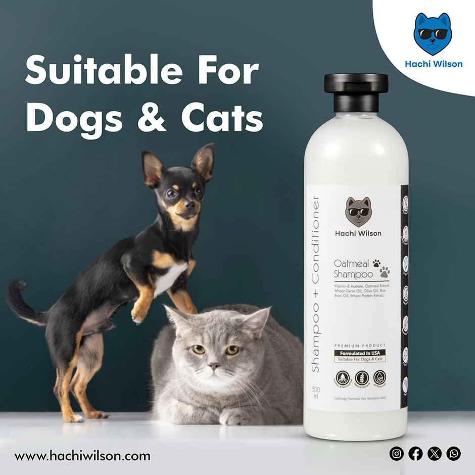 Hachi Wilson Premium Oatmeal Dog Shampoo And Conditioner