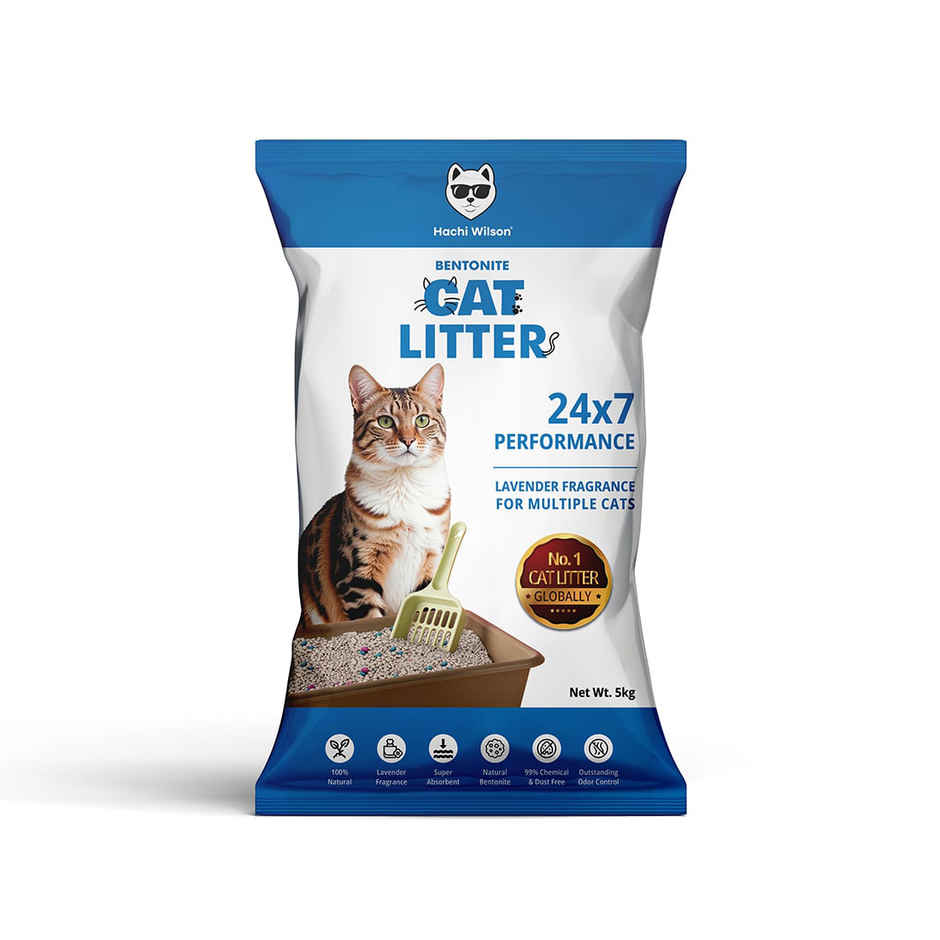 Hachi Wilson Premium Cat Litter Globally No1 Cat Litter