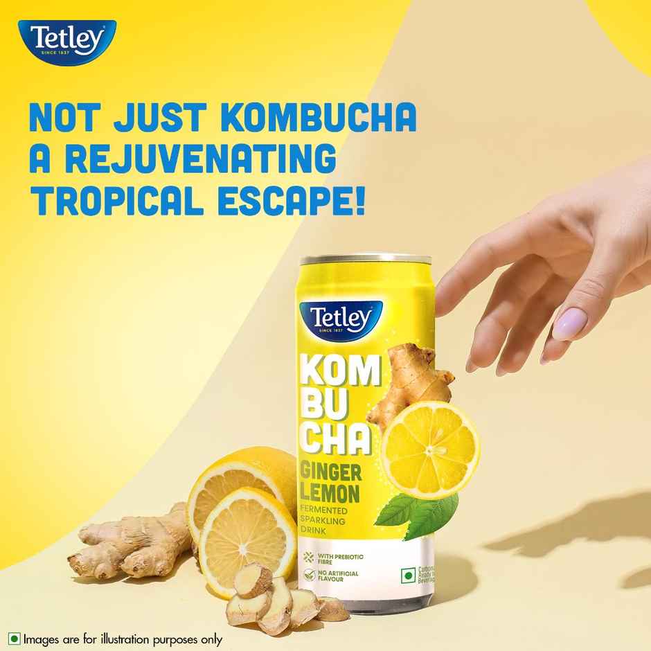 Tetley Ginger Lemon, Fermented Sparkling Drink with Prebiotic Fiber Kombucha Combo