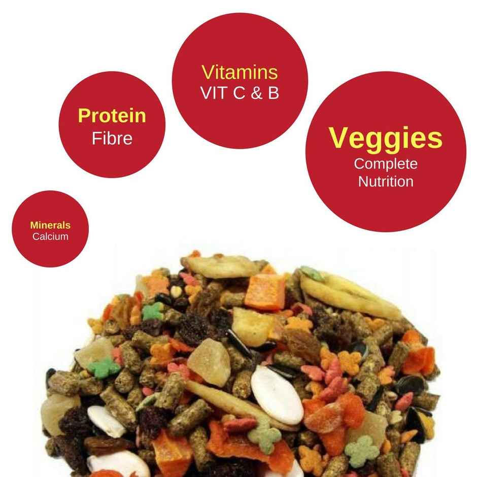 Vitapol Economic Small Animal Food For Guinea Pig