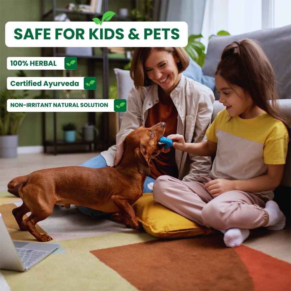 Herbal Strategi Lizard Repellent