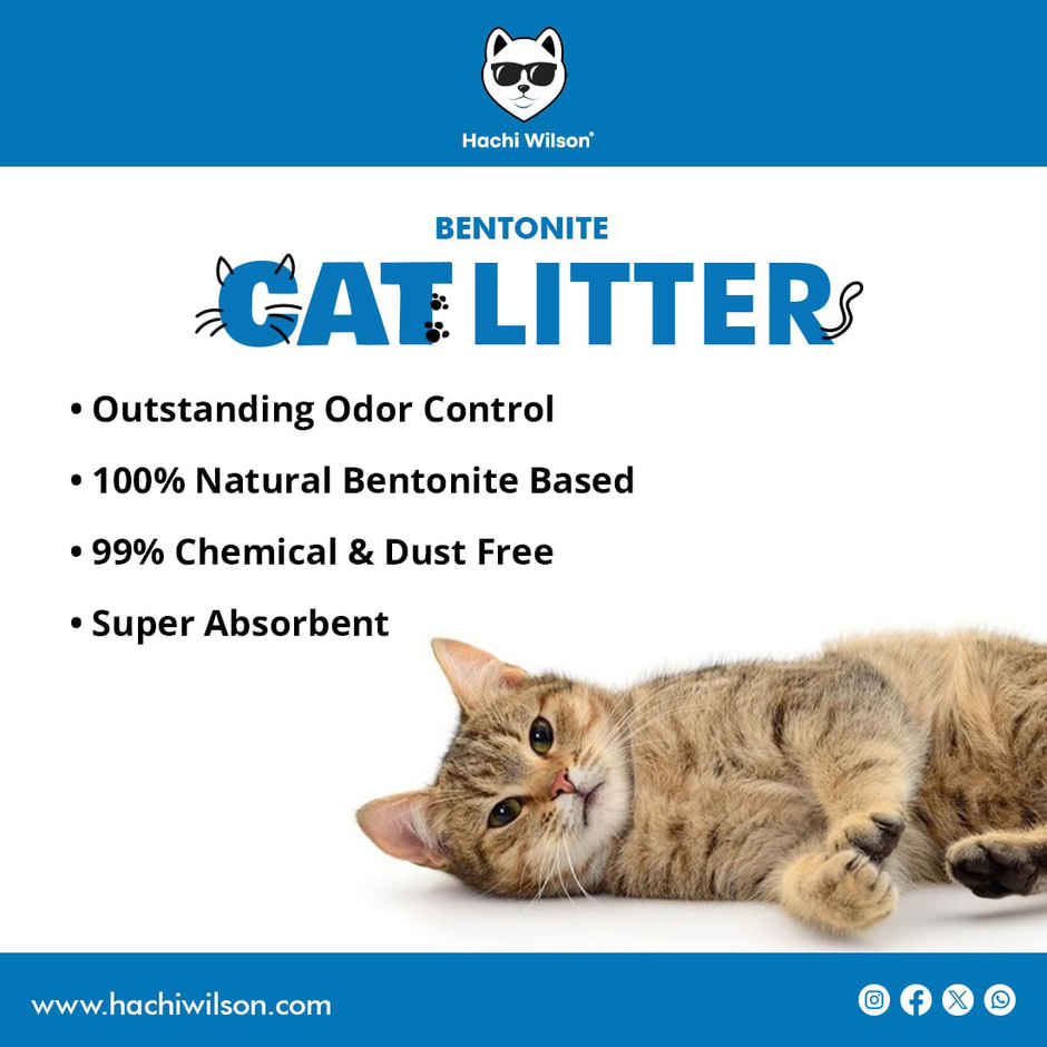 Hachi Wilson Unscented Cat Litter | Clumping, Natural Bentonite