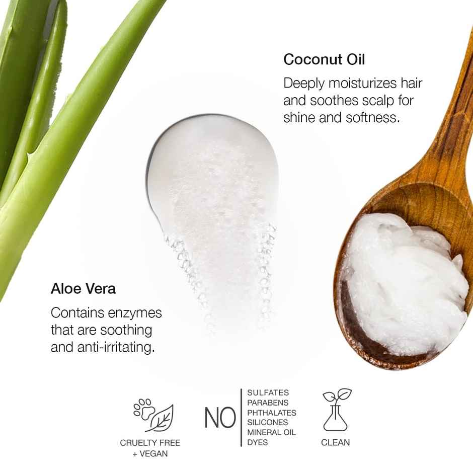 Anomaly Hydrating Shampoo For Dull & Dry Hair With Coconut Oil & Aloe Vera