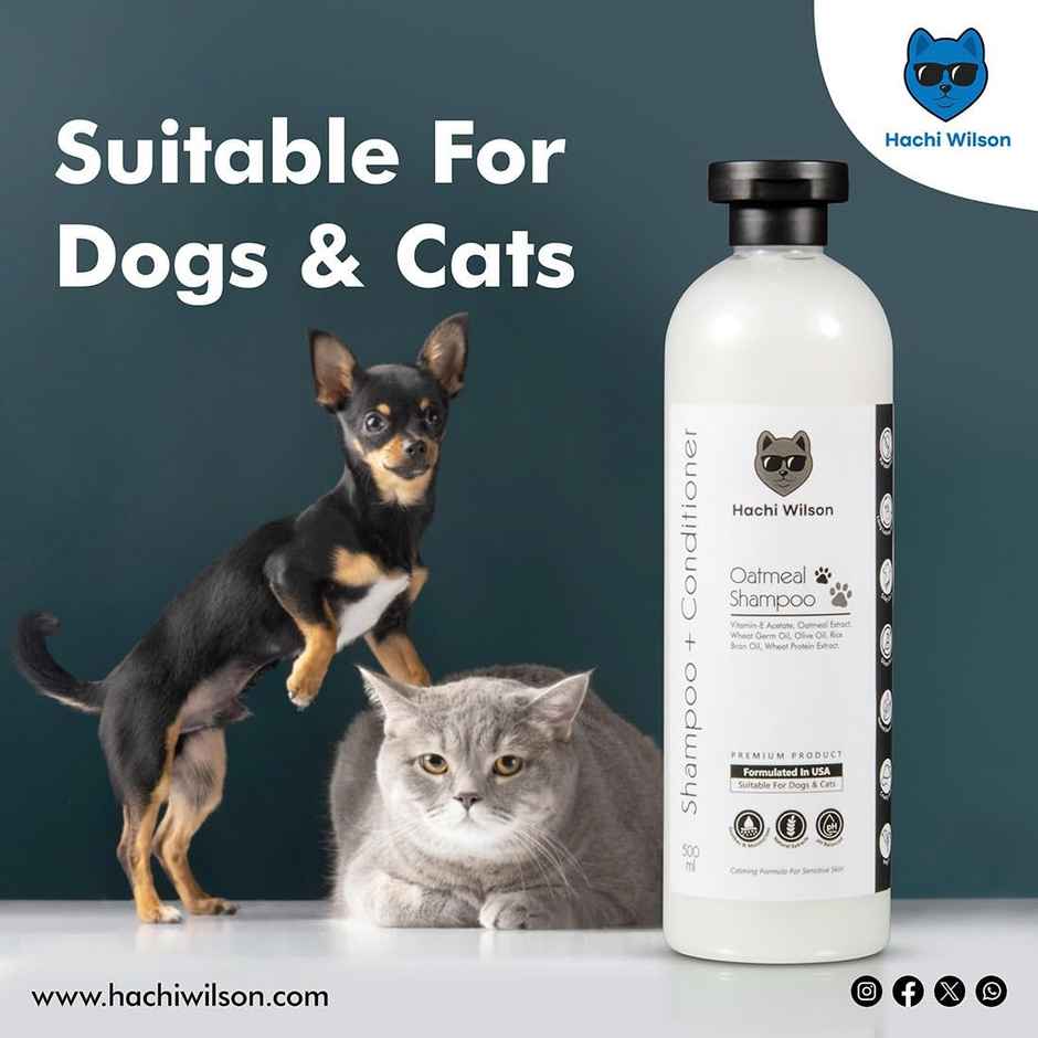 Hachi Wilson Premium Waterless Dog Shampoo And Conditioner Spray