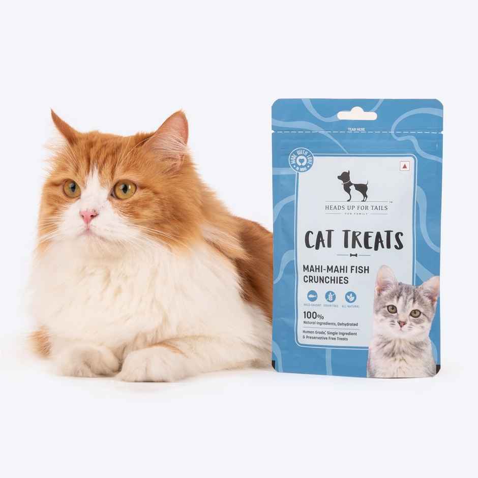 HUFT Mahi Mahi Fish Crunchies Crunchy Cat Treat