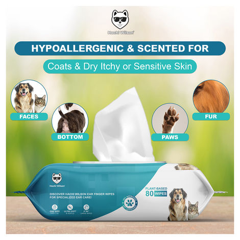 Hachi Wilson Premium Plant Based Pet Wipes (Dog/Cat) , Extra 25% Bigger Size | 80 Pulls Per Pack