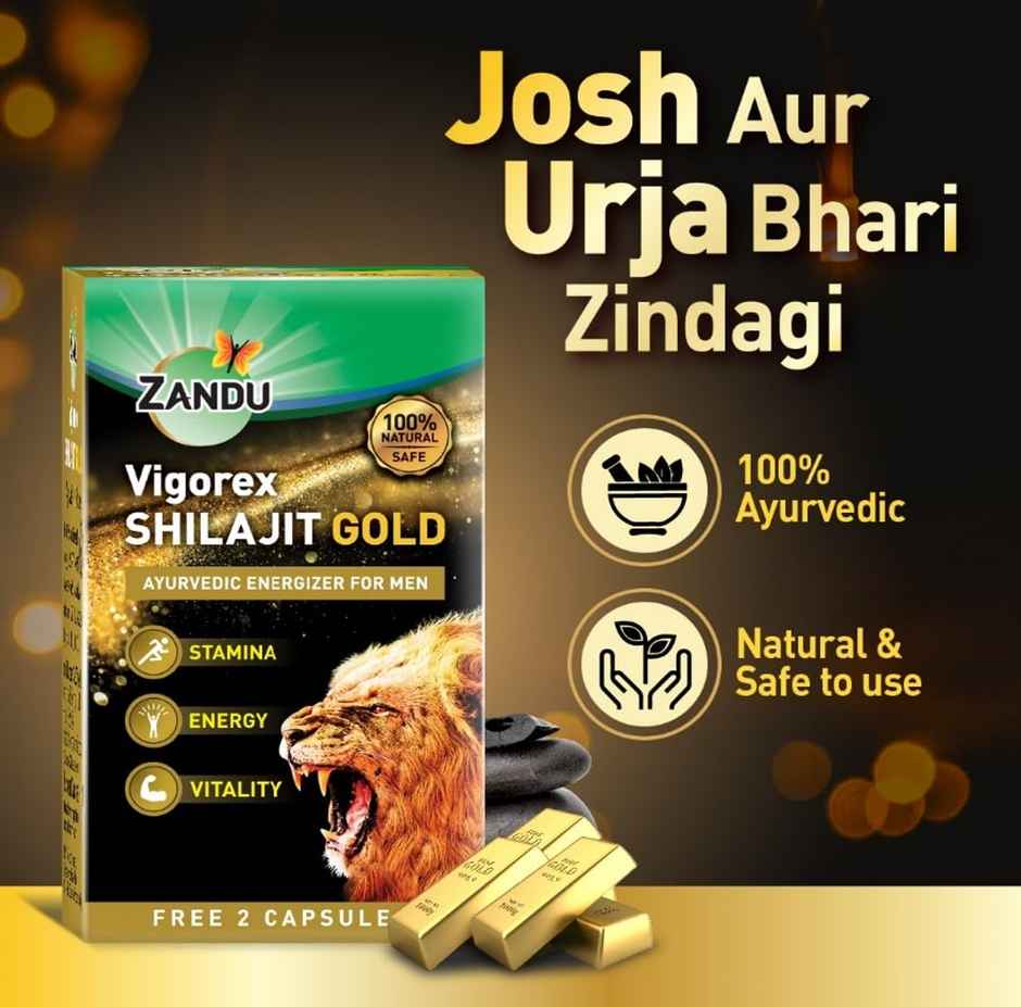 Zandu Vigorex Shilajit Gold Capsule