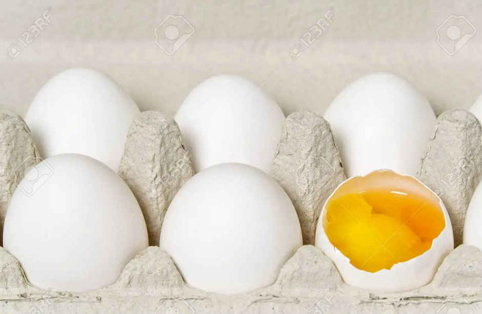 Vijay White Eggs