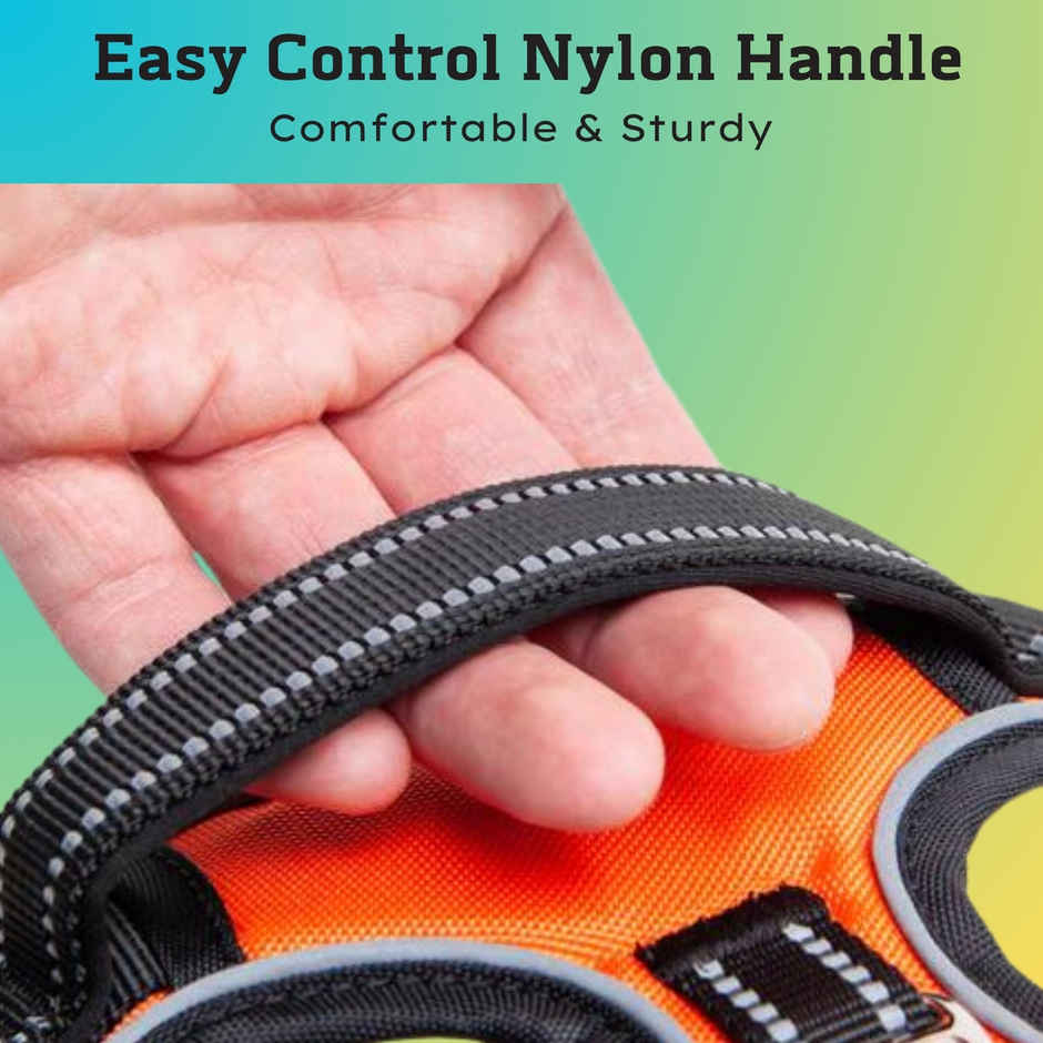 Payton Perry Dog Vest Harness | Choke-Free | Adjustable | L | Blue-Diamond | For 24-35 kg Pet