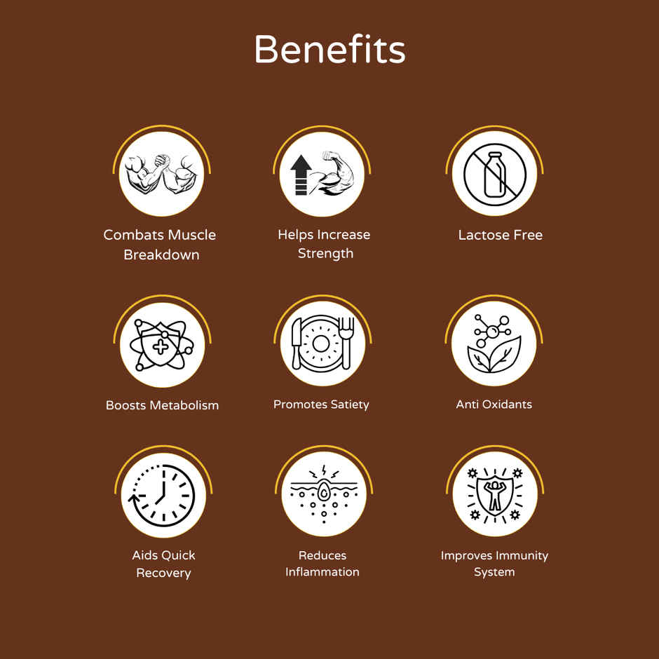 Hidden Hungr Whey Protein Muscle Fuel- Chocolate Ganache