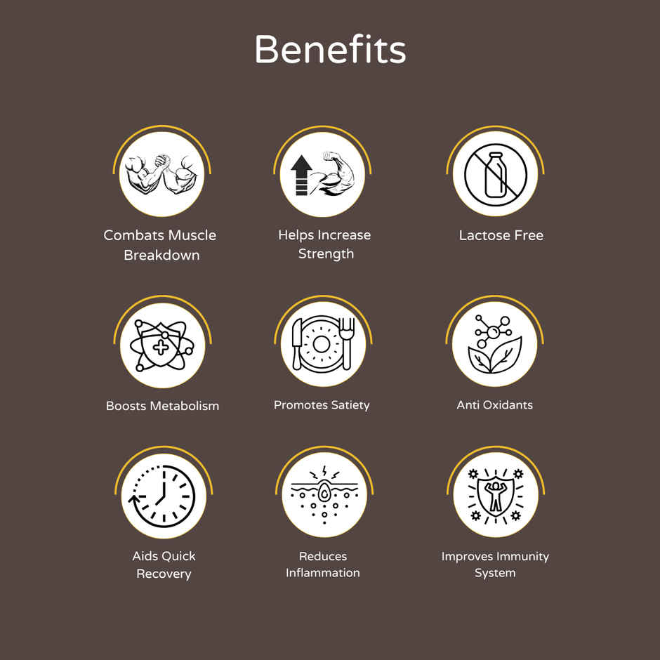 Hidden Hungr Whey Protein Muscle Fuel- Cookies n Creme