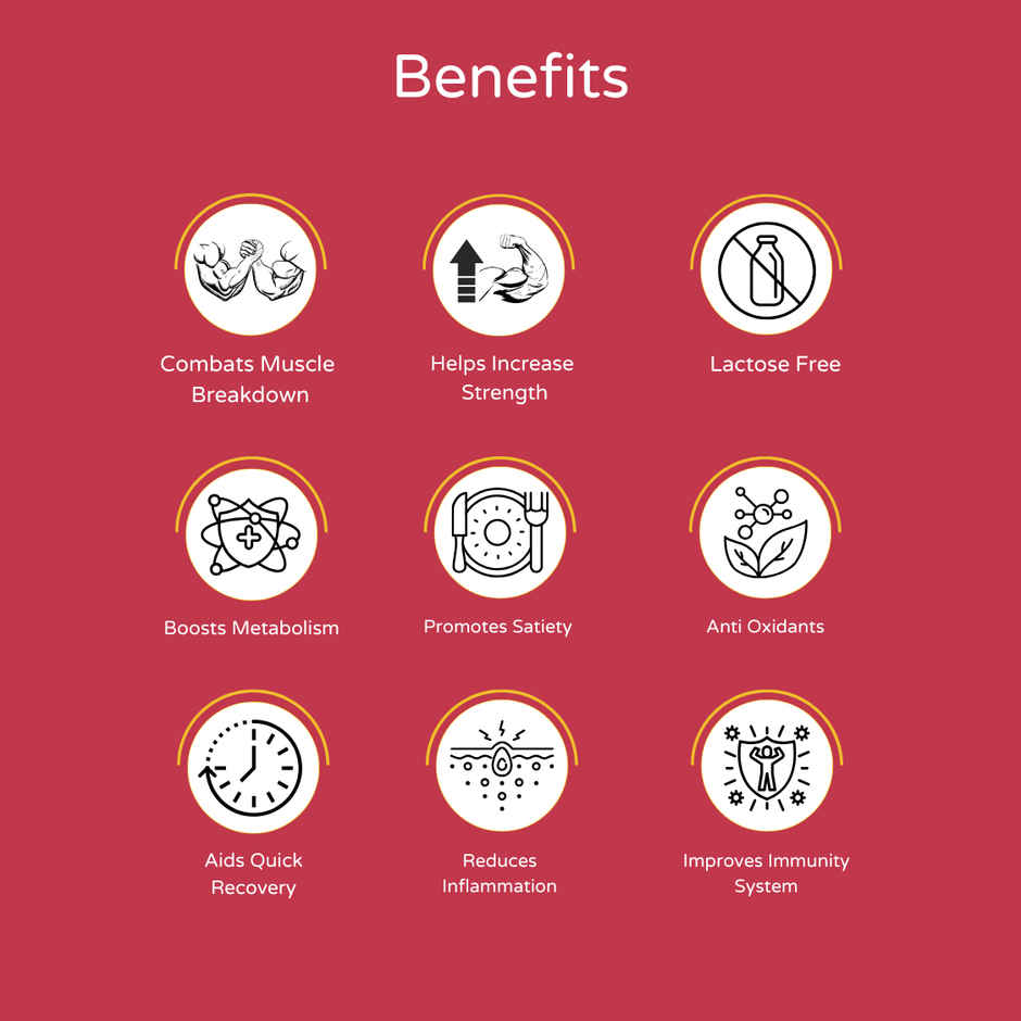 Whey Protein with Monk Fruit - Strawberry & Whipped Cream (Pack of 10N Sachets)